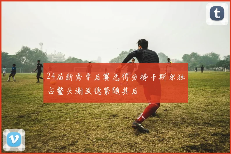 24届新秀季后赛总得分榜卡斯尔独占鳌头谢泼德紧随其后