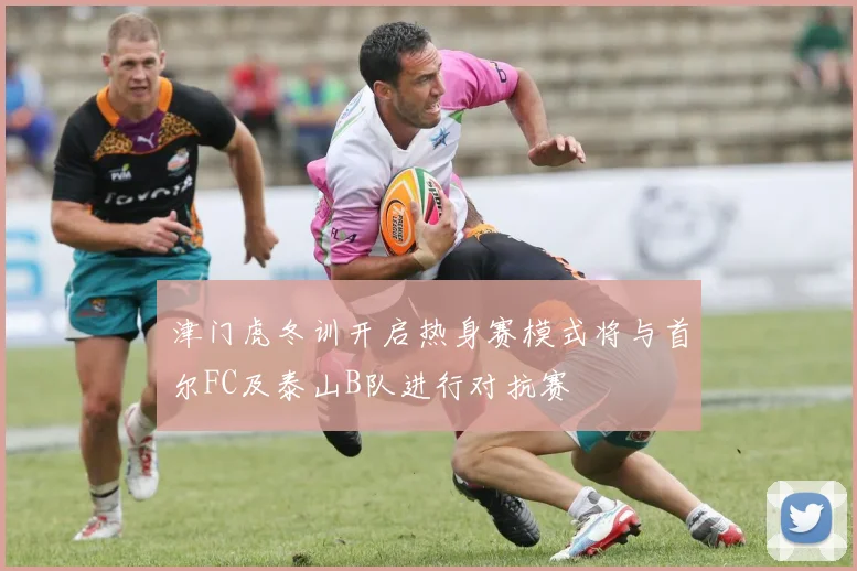 津门虎冬训开启热身赛模式将与首尔FC及泰山B队进行对抗赛